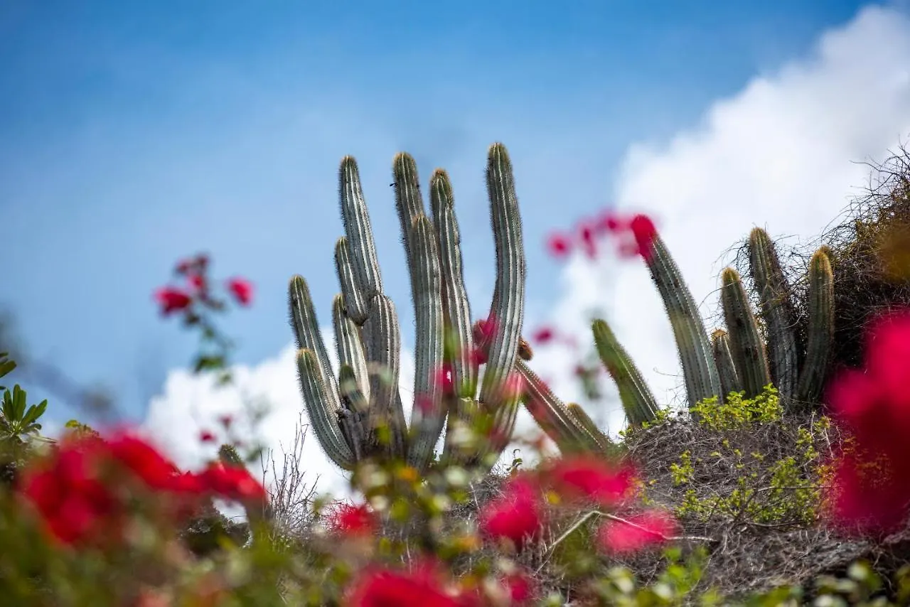 Le Soleil D'Or Hotel Cayman Brac